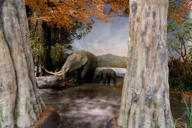 Diorama of elephants in a Metasequoia forest