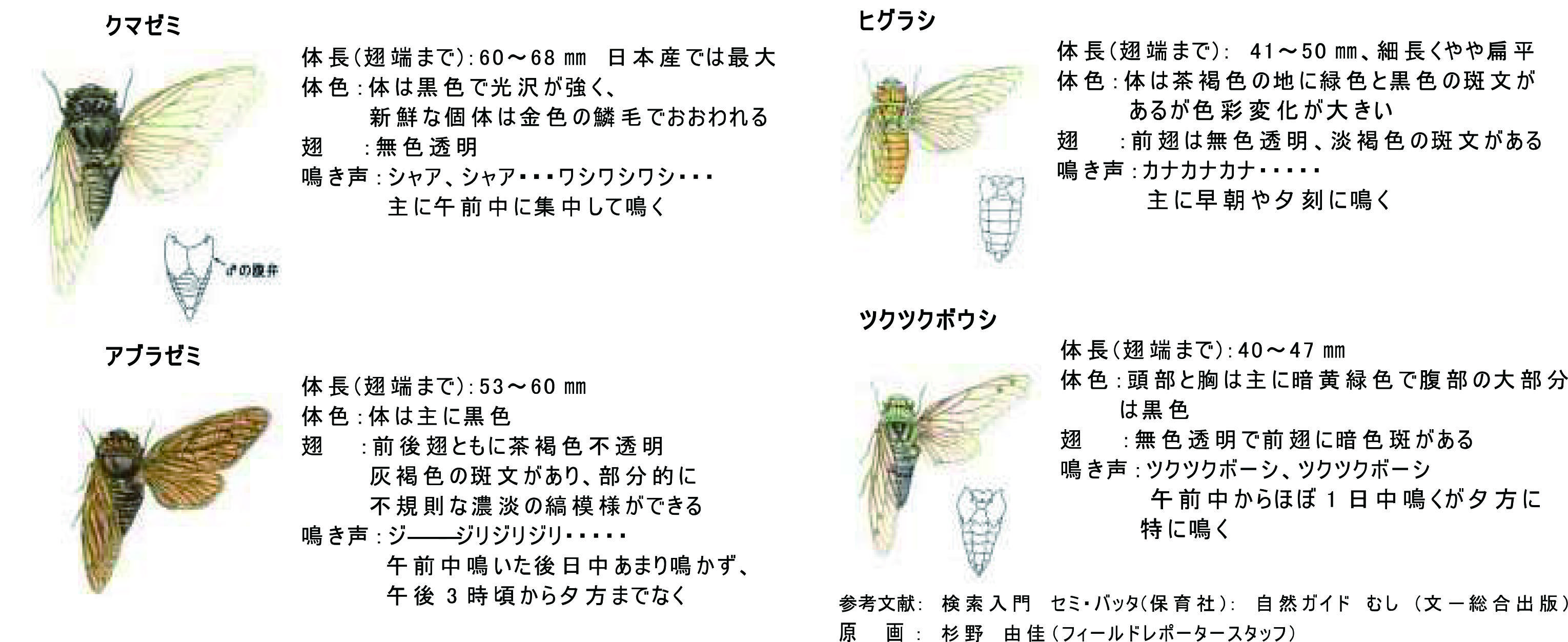 おうちミュージアム 滋賀県立琵琶湖博物館