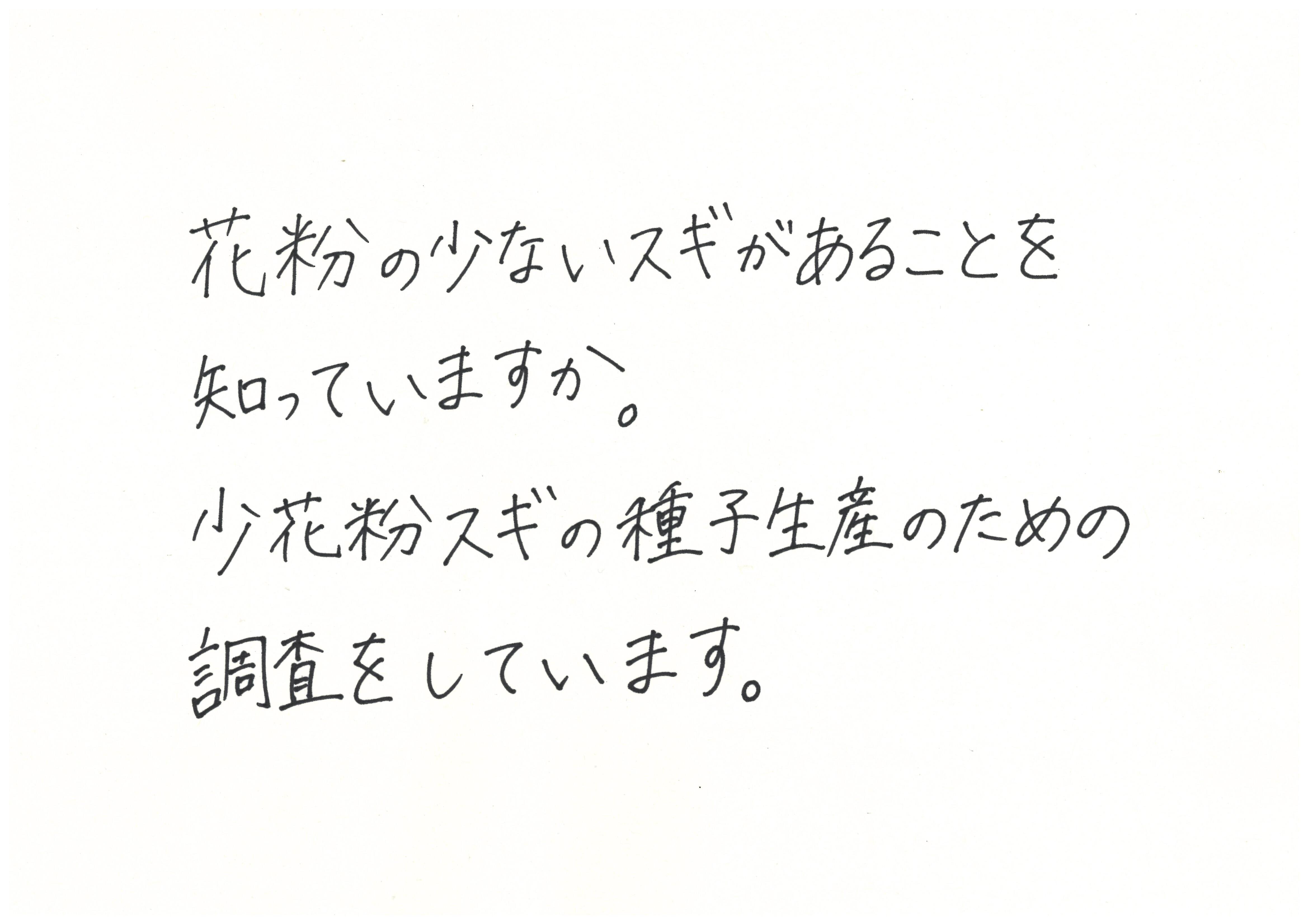 コメント
