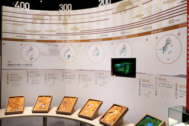 A display of the time line of the Lake Biwa region