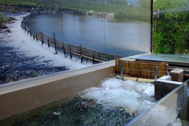 A fishing weir