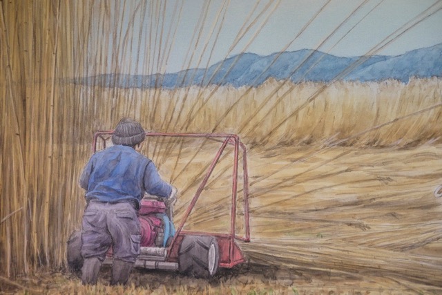 Artwork showing the harvesting of reeds.