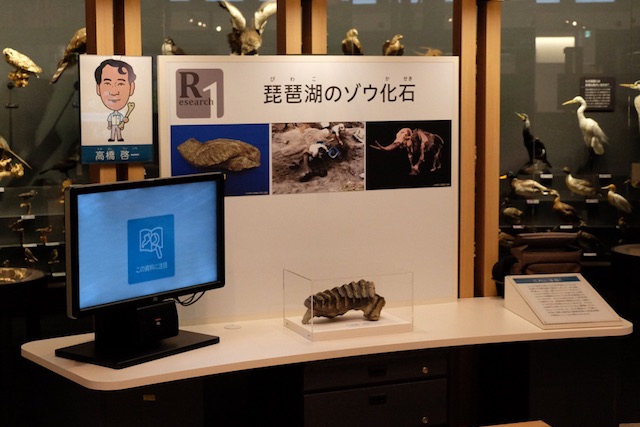 Corner about research conducted in the museum