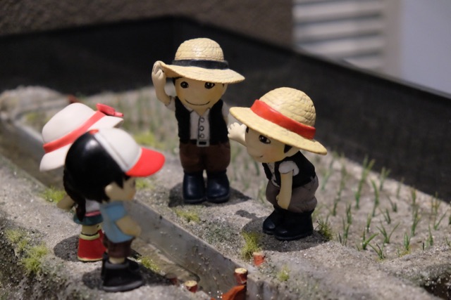 Model of a fish ladder in a rice field landscape.