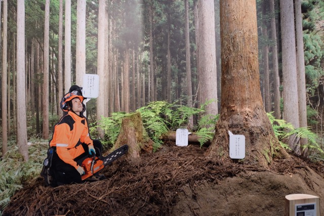 Diorama of a forest planation. 