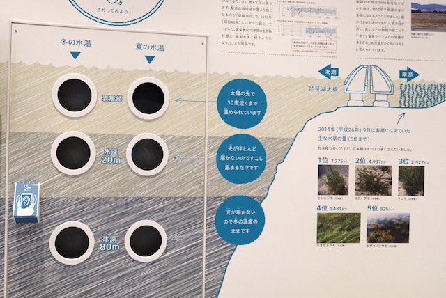 Display of the thermocline in Lake Biwa, showing how the temperature of the lake varies with depth.