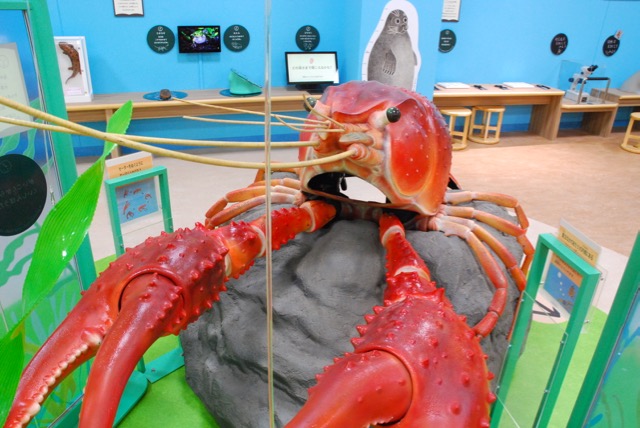 A large model of a crayfish that children can climb inside