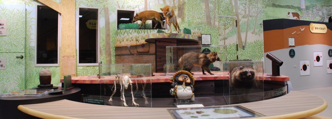 View of the Discovery Room