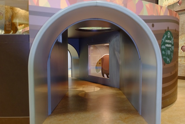 A tunnel that children can crawl through
