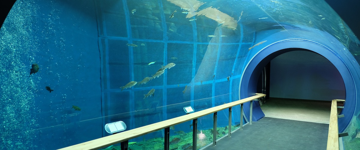 Aquarium