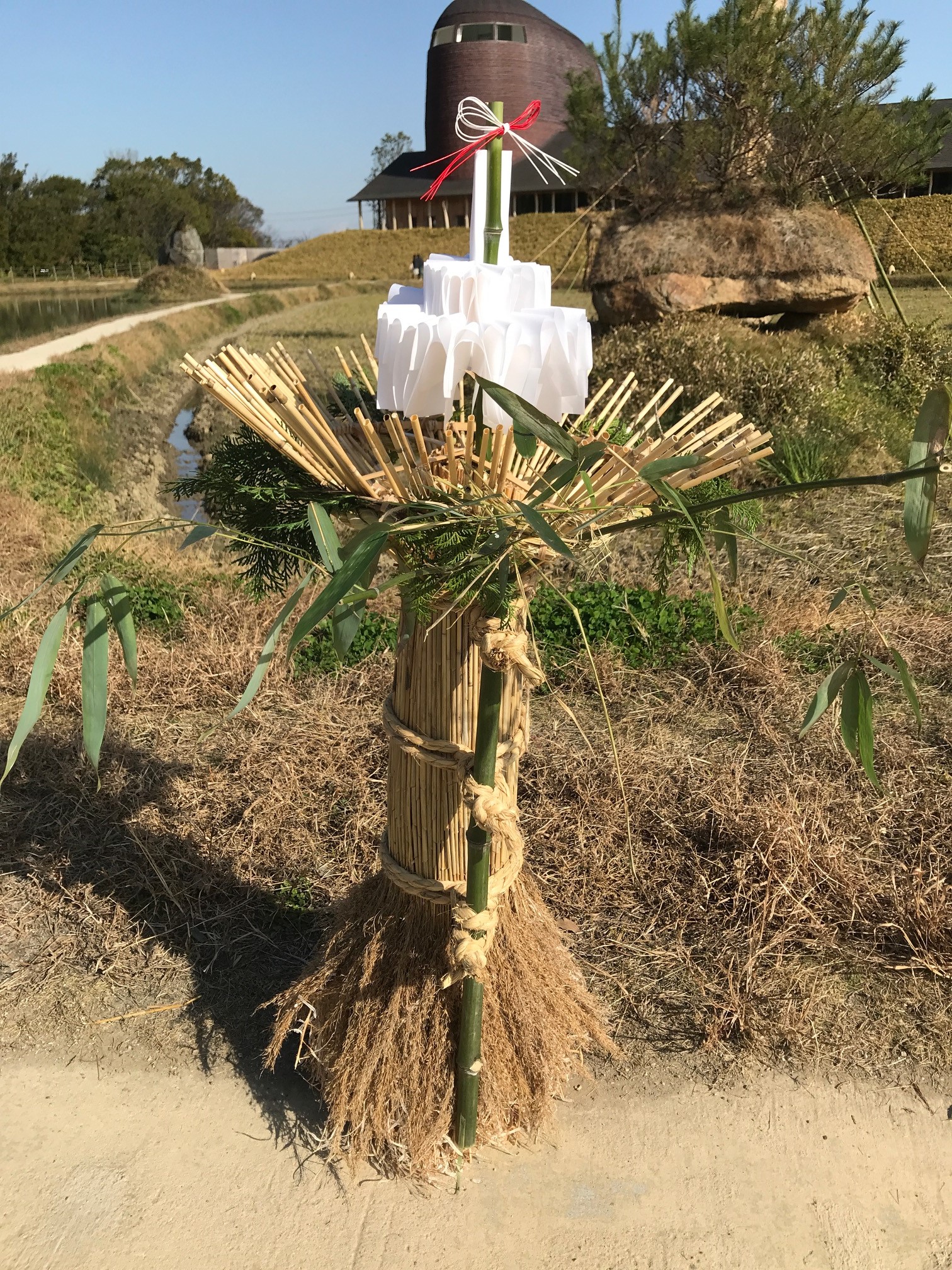 ヨシのミニ松明をつくってみよう