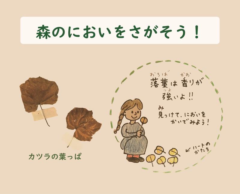 【ディスカバリールーム】 森のにおいをさがそう！