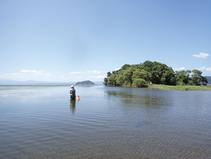 【中止】湖探検 琵琶湖に入って生き物をさがそう!