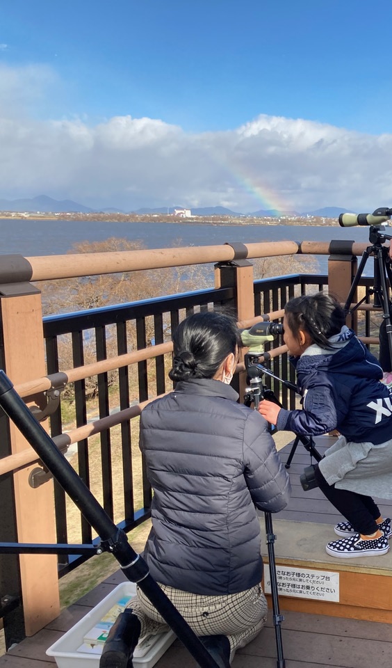 【わくわく探検隊】水鳥を観察しよう!
