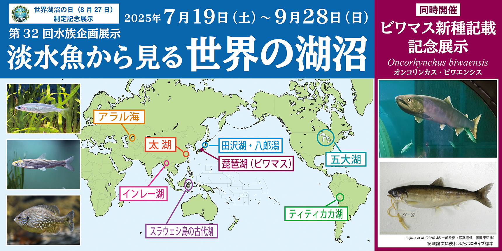 2025年水族企画展示 淡水魚から見る世界の湖沼 | 滋賀県立琵琶湖博物館