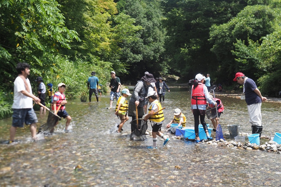 川の生き物観察会2026