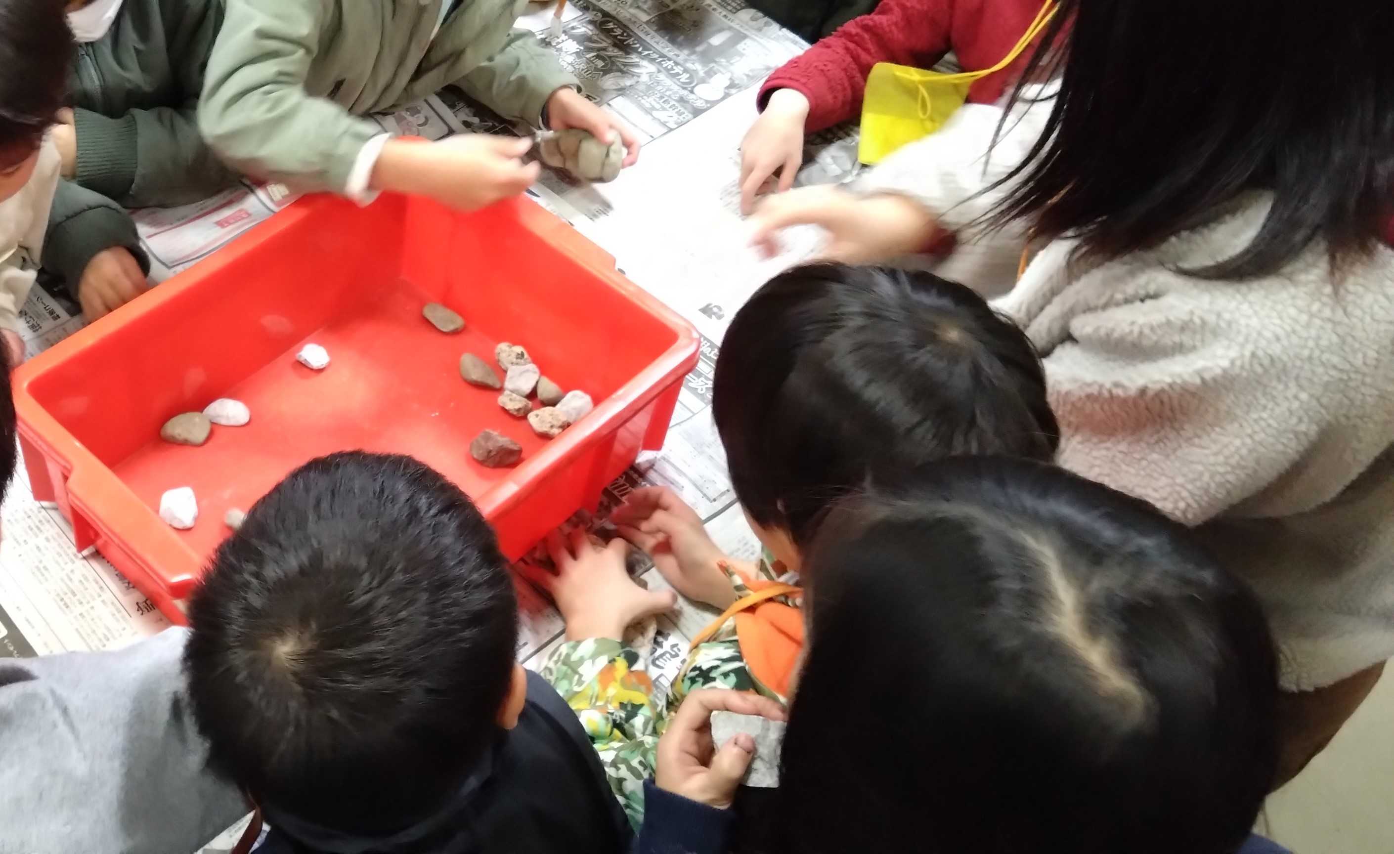 　【わくわく探検隊】岩石標本箱をつくろう！