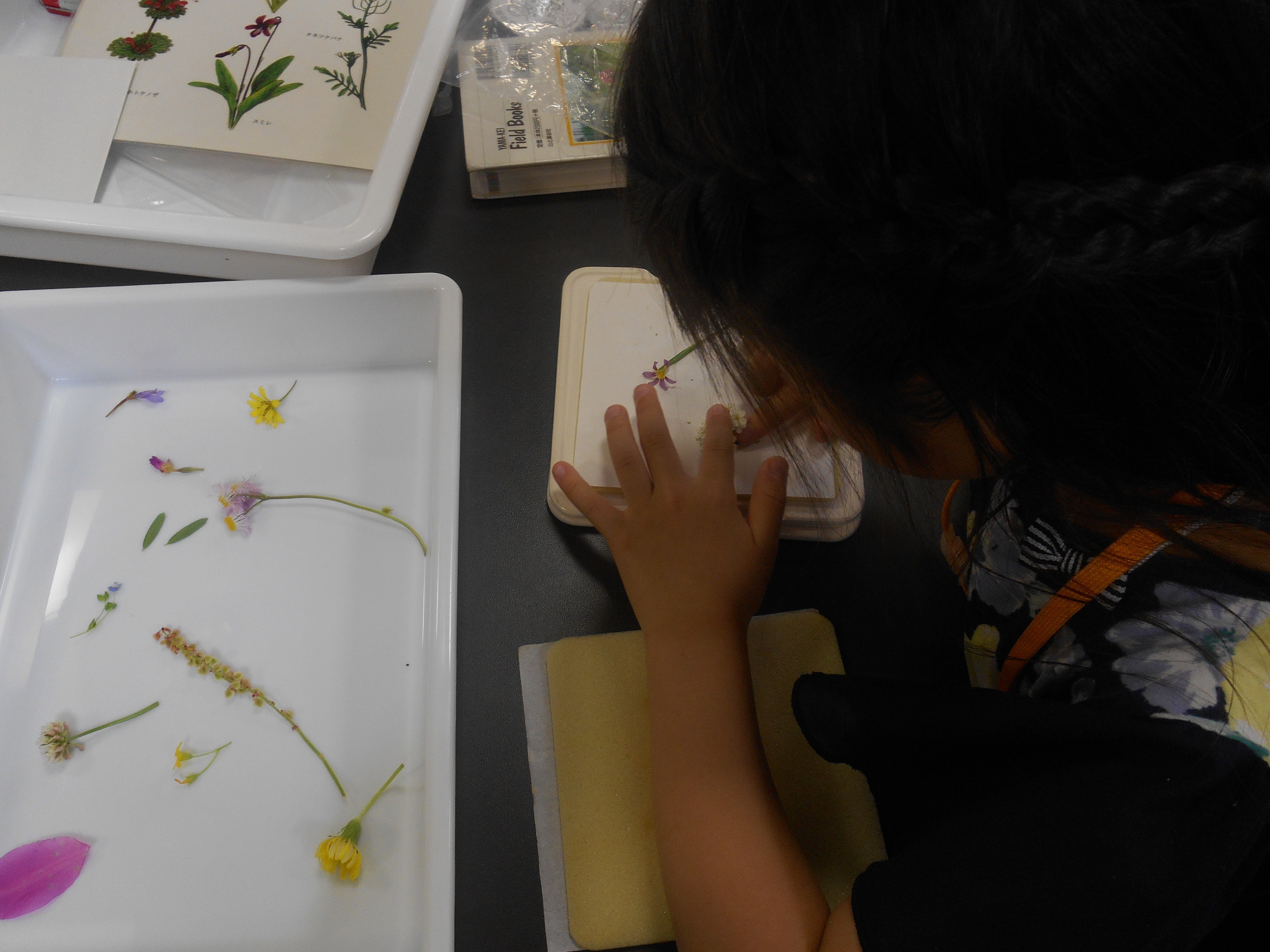 　【わくわく探検隊】春の草花でしおりを作ろう！