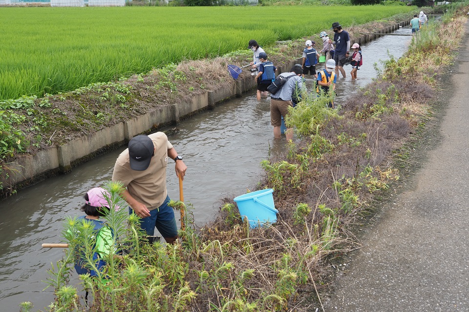 水辺の生き物観察会2025