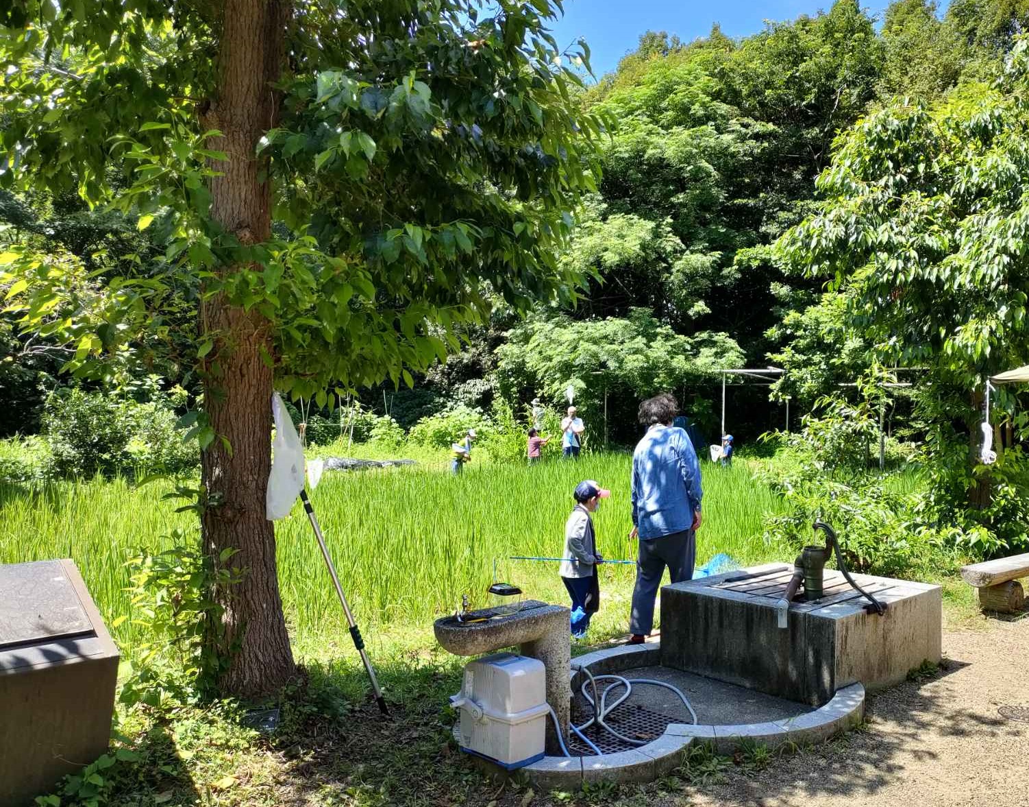 【田んぼ体験】生活実験工房 田んぼ体験　昆虫採集