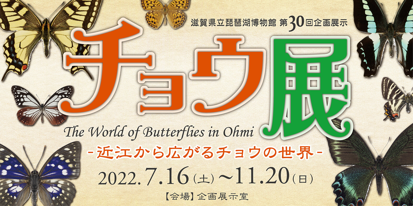  第30回企画展示 チョウ展―近江から広がるチョウの世界―