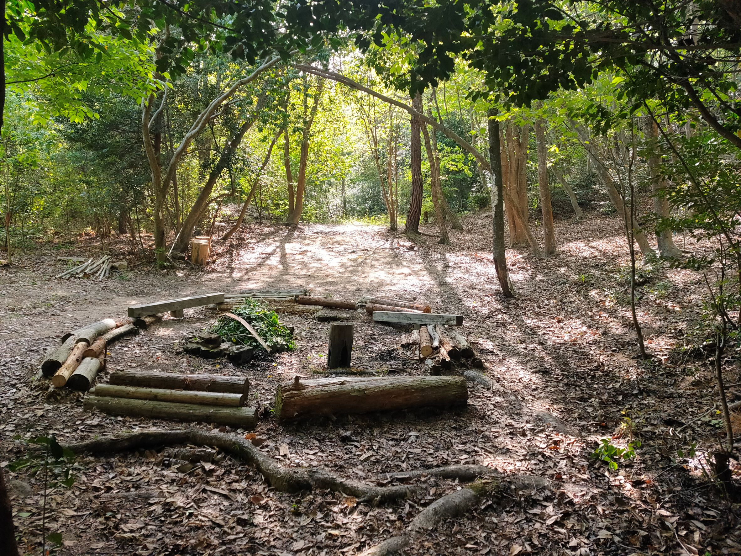 里山体験教室(4月、6月、10月、1月)