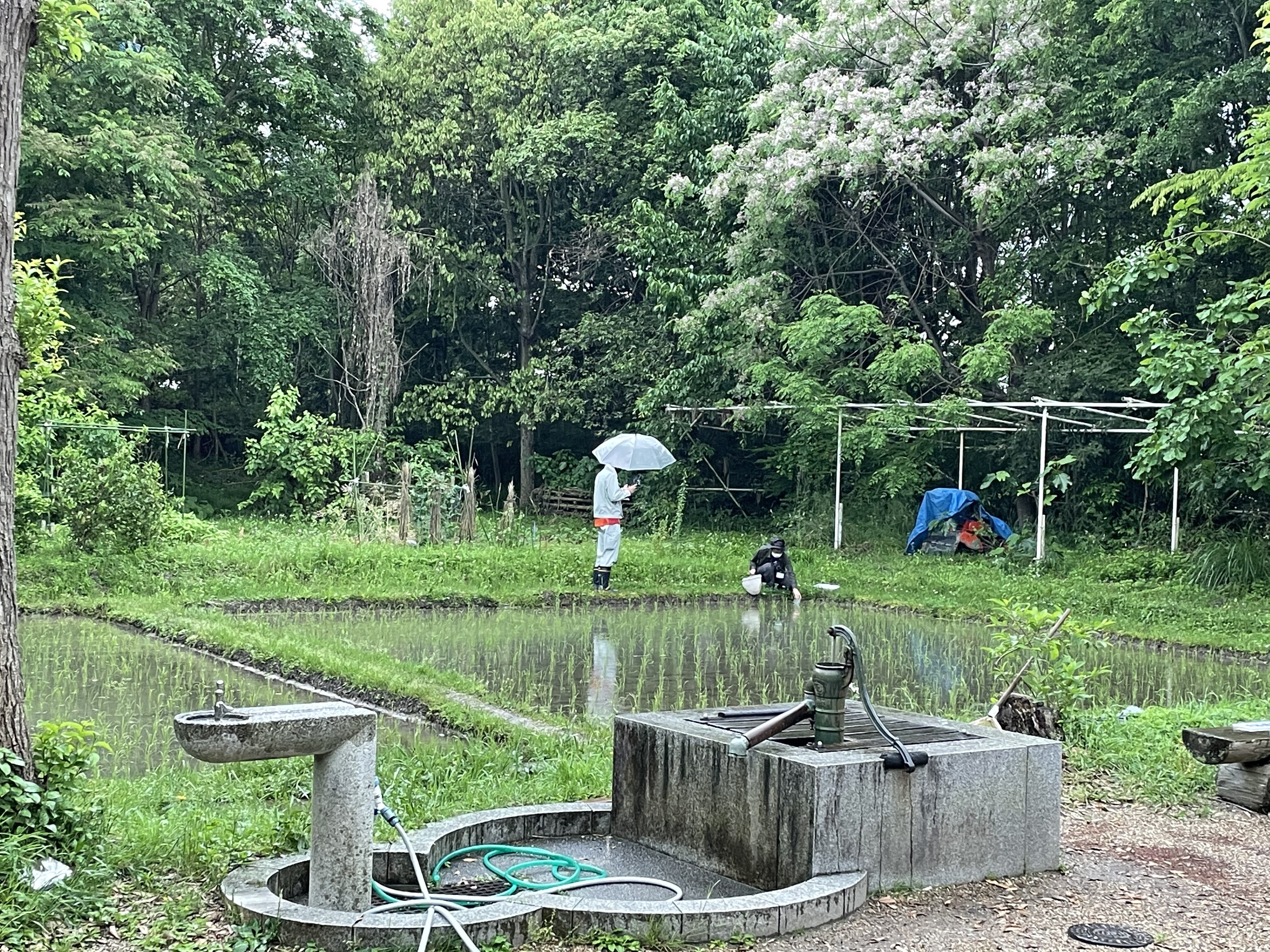 わくわく知恵さがし・楽しく学びあい・7月