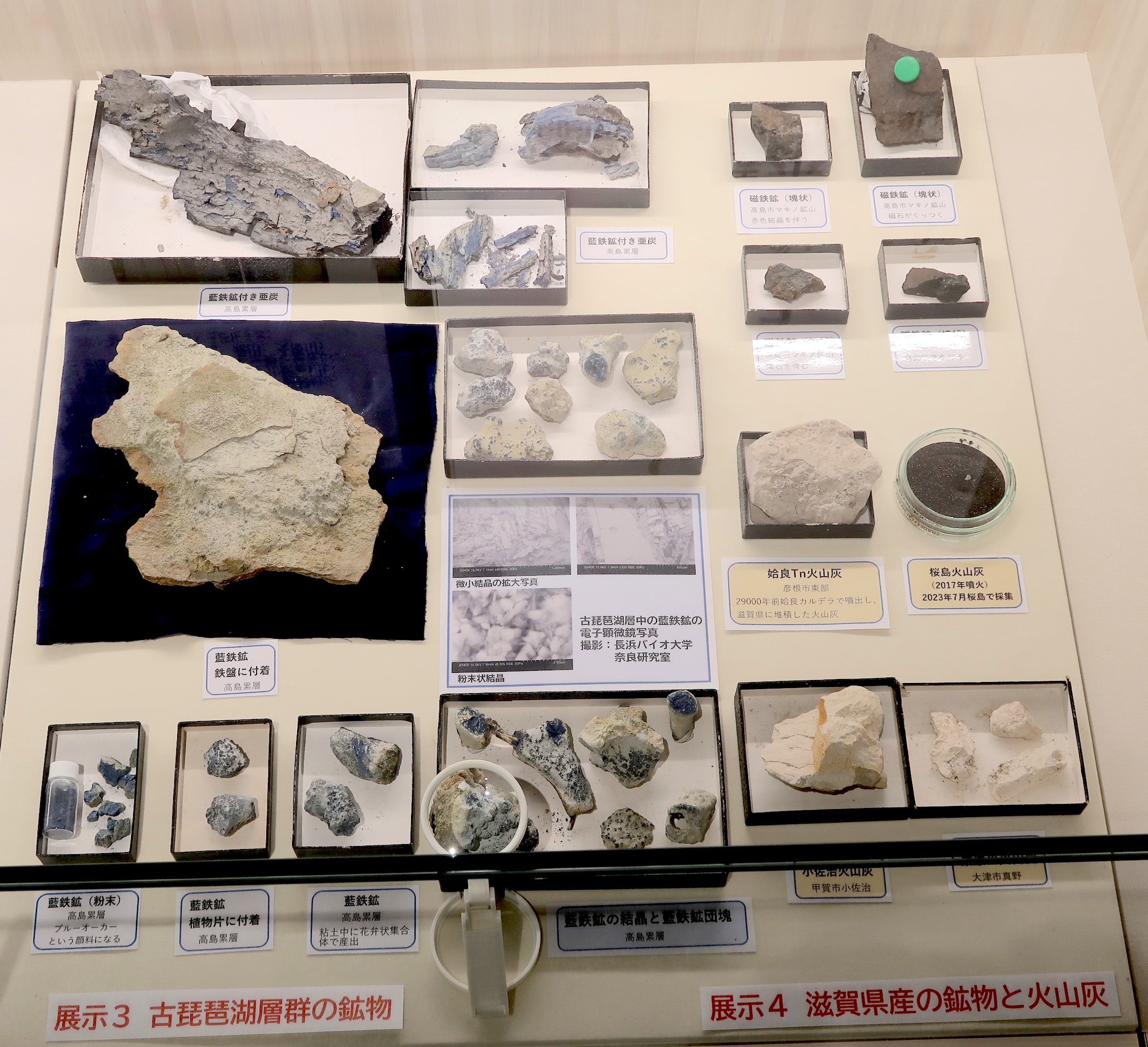 Ａ展示室　地域の人びとによる展示「滋賀県でとれる化石＆鉱物」