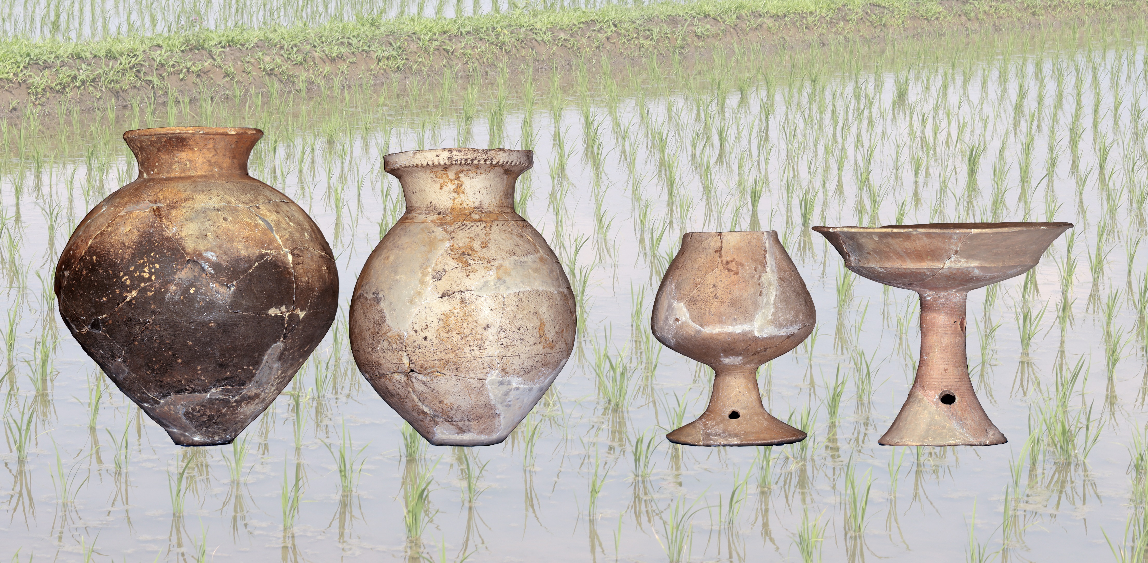 　第18回学芸員のこだわり展示「壺と高坏―土器からみる弥生文化―」