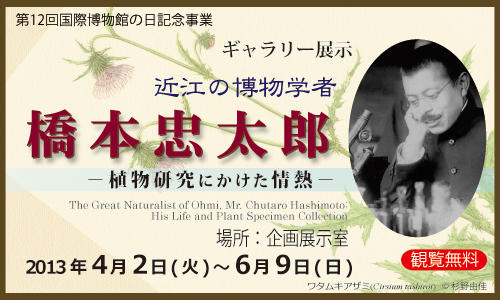 近江の博物学者　橋本忠太郎 －植物研究にかけた情熱－