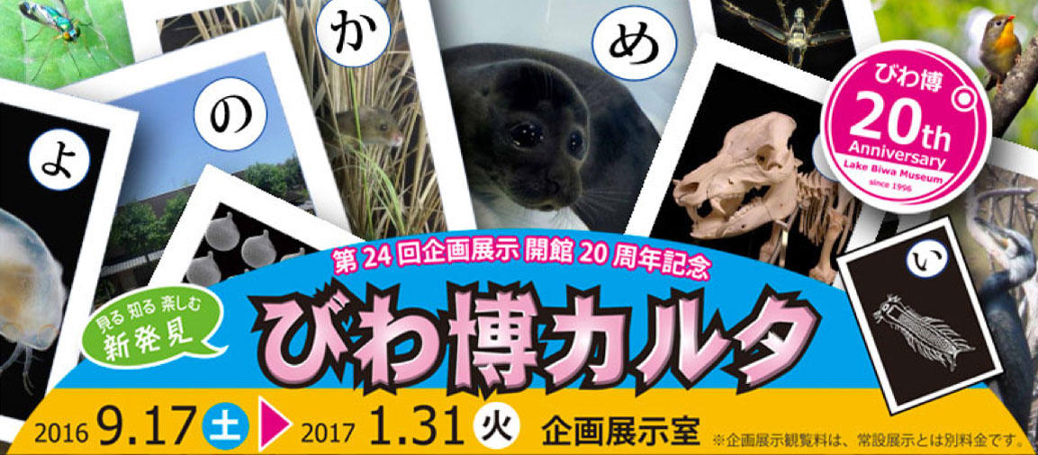 開館20周年記念　びわ博カルタ 見る知る楽しむ新発見