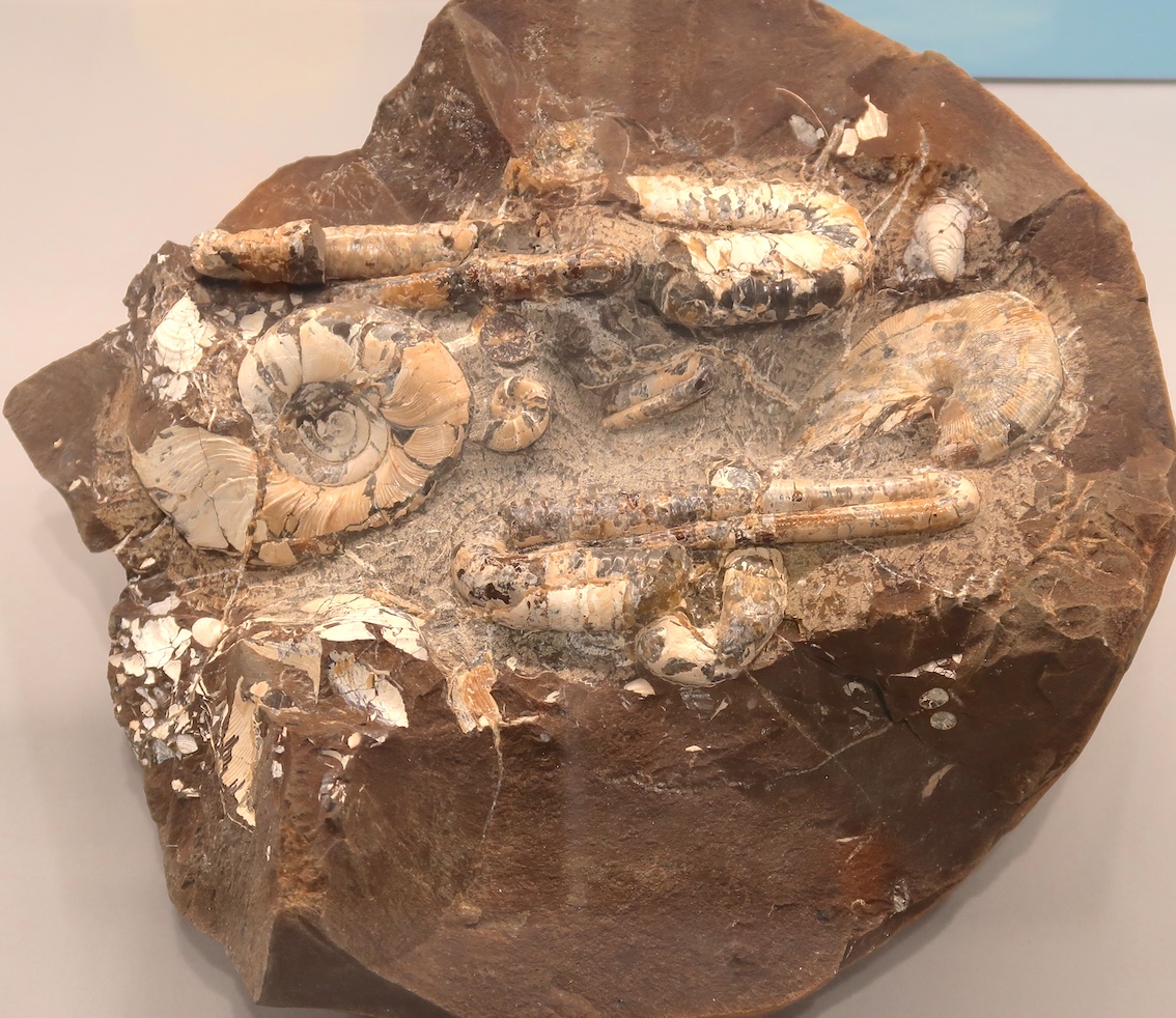 A展示室 地域の人びとによる展示「自然がつくったガチャガチャ〜球状