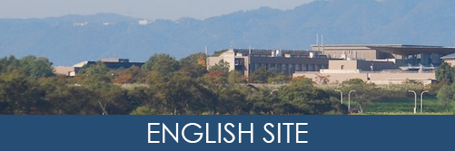 English Site