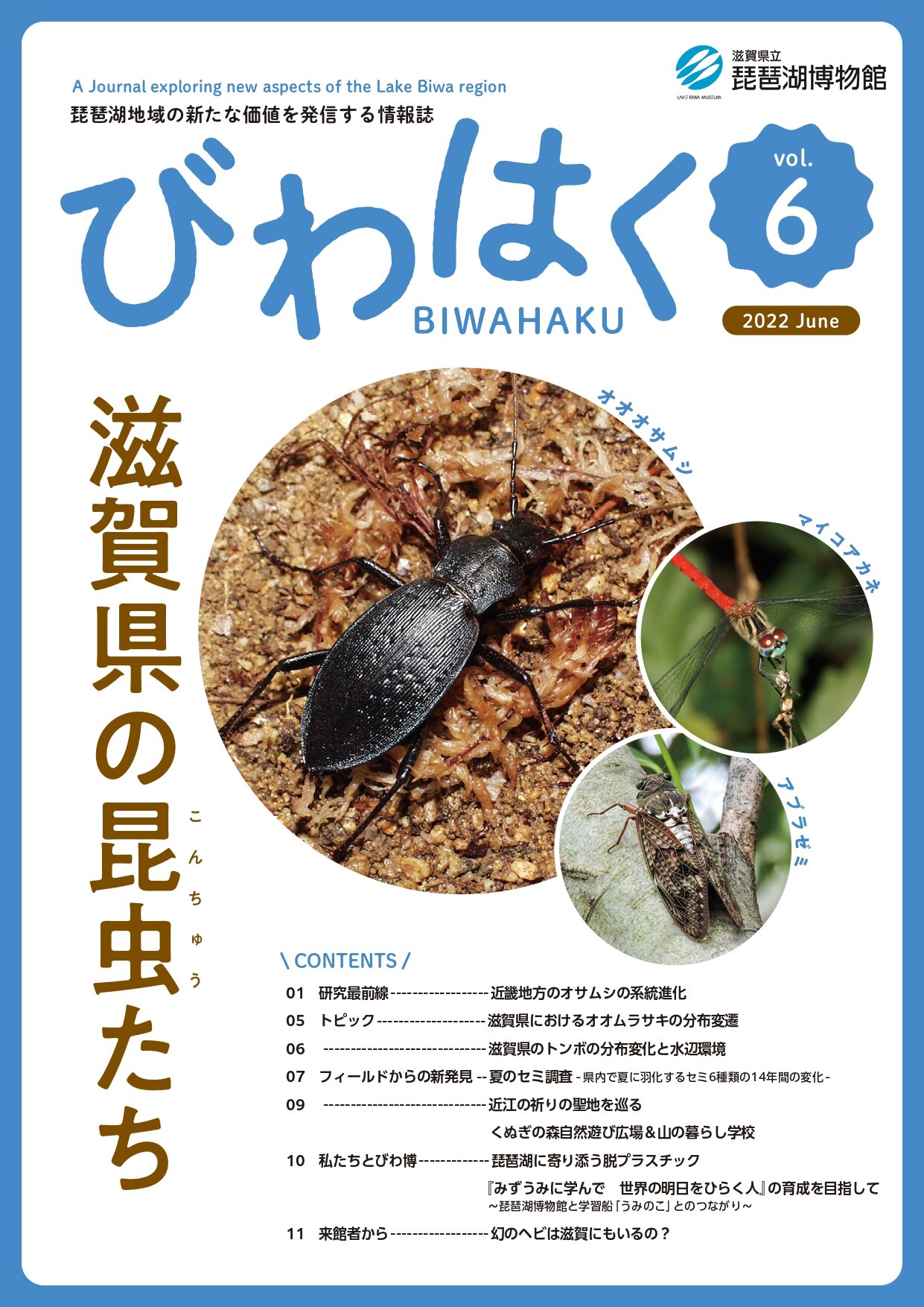 滋賀県の昆虫たち