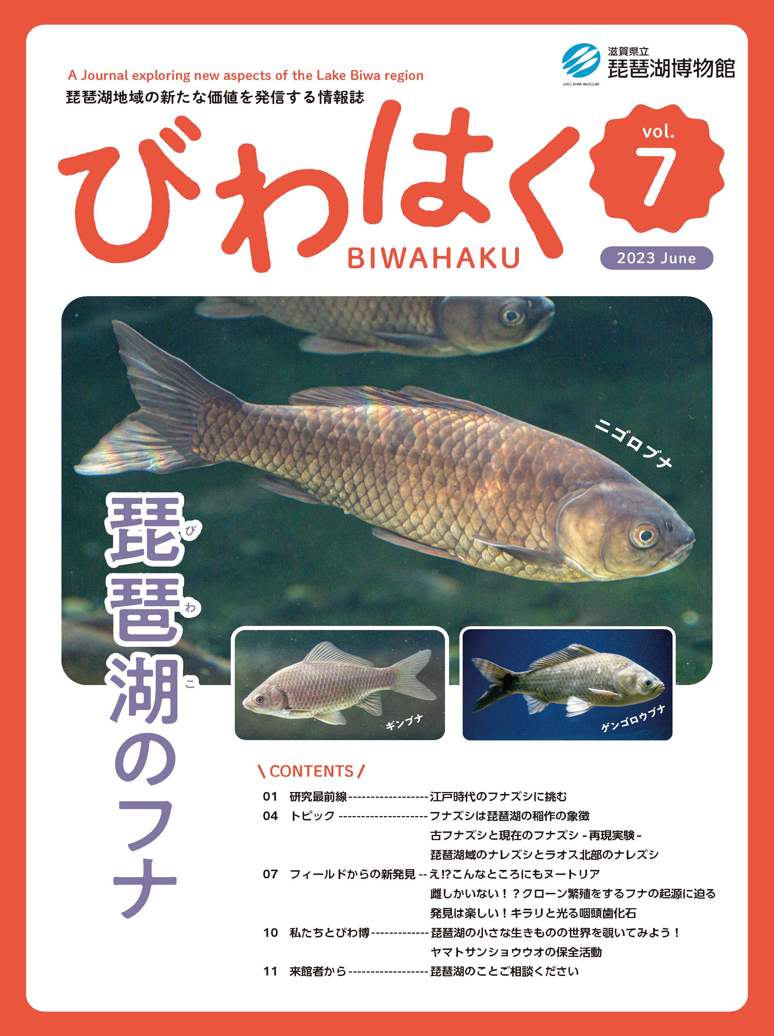 第7号　琵琶湖のフナ