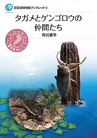 タガメとゲンゴロウの仲間たち