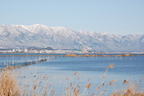 The south basin of Lake Biwa, viewed from in front of the Lake Biwa Museum. In the winter the lake is an important overwintering site for many waterfowl. (18 January 2008) 