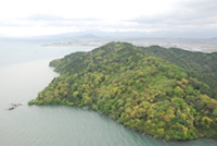 Mount Okujima (425m), porphyritic granodiorite and rhyolitic welded tuff protruding through the flat fluvial sediments of the eastern plain. The rocky lakeshore provides a distinctive habitat for some of the endemic species living in the lake, including the giant Biwa catfish. (12 May 2010)