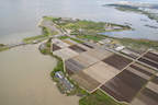 Rice fields adjacent to the Karasuma Peninsula. Water for the rice fields is pumped up from Lake Biwa, and then drained backed into the lake. (12 May 2010)