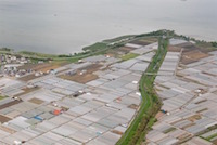 Agricultural greenhouses either side of the Kusatsu River, which flows into the south basin of Lake Biwa. Agriculture is a source of pollution for the lake. (12 May 2010) 