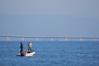 Sport fishing is popular in Lake Biwa, attracting many visitors to the area. The main target is largemouth bass, an invasive species from North America, which was illegally released into the lake during the early 1970s. A ferocious predator, it eats the native fish, damaging the lake's ecosystem. (28 October 2013)