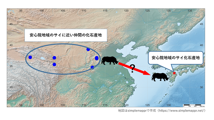 中国から来たかもしれない安心院のサイ.png