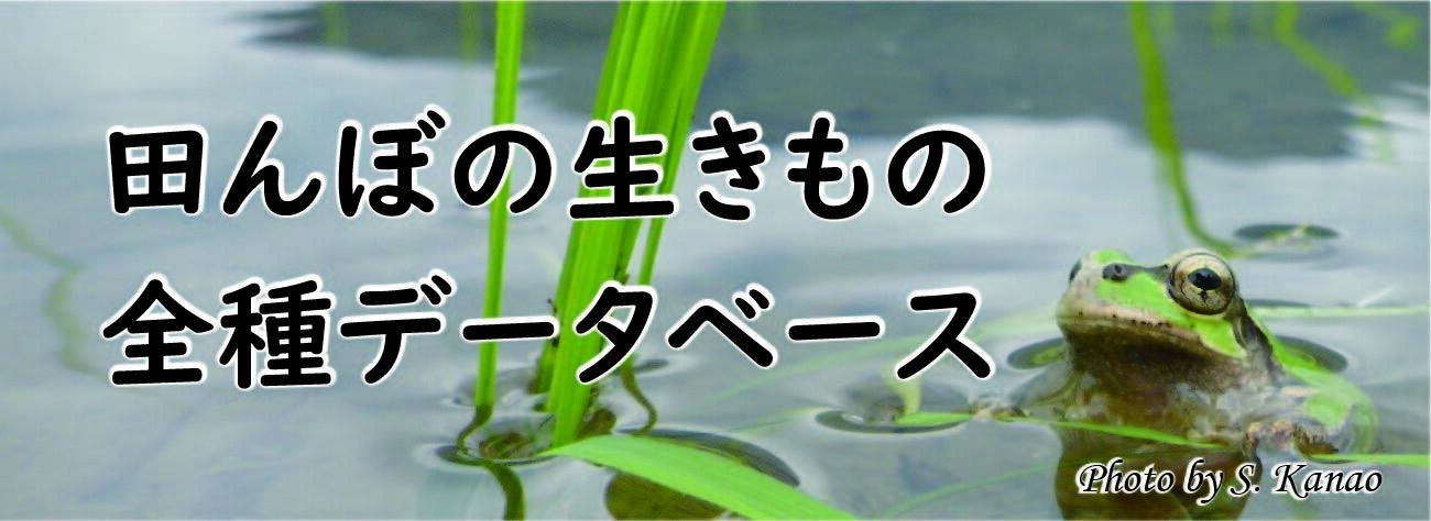 田んぼの生きもの全種データベース