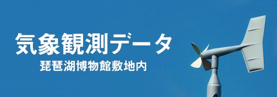 気象観測データ