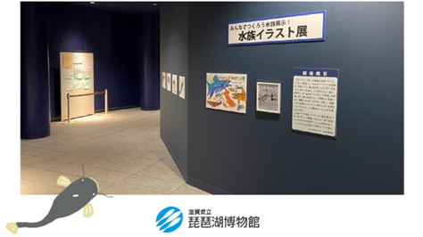 みなさまから募集した「琵琶湖の魚」イラストを 琵琶湖博物館水族展示室にて展示します
