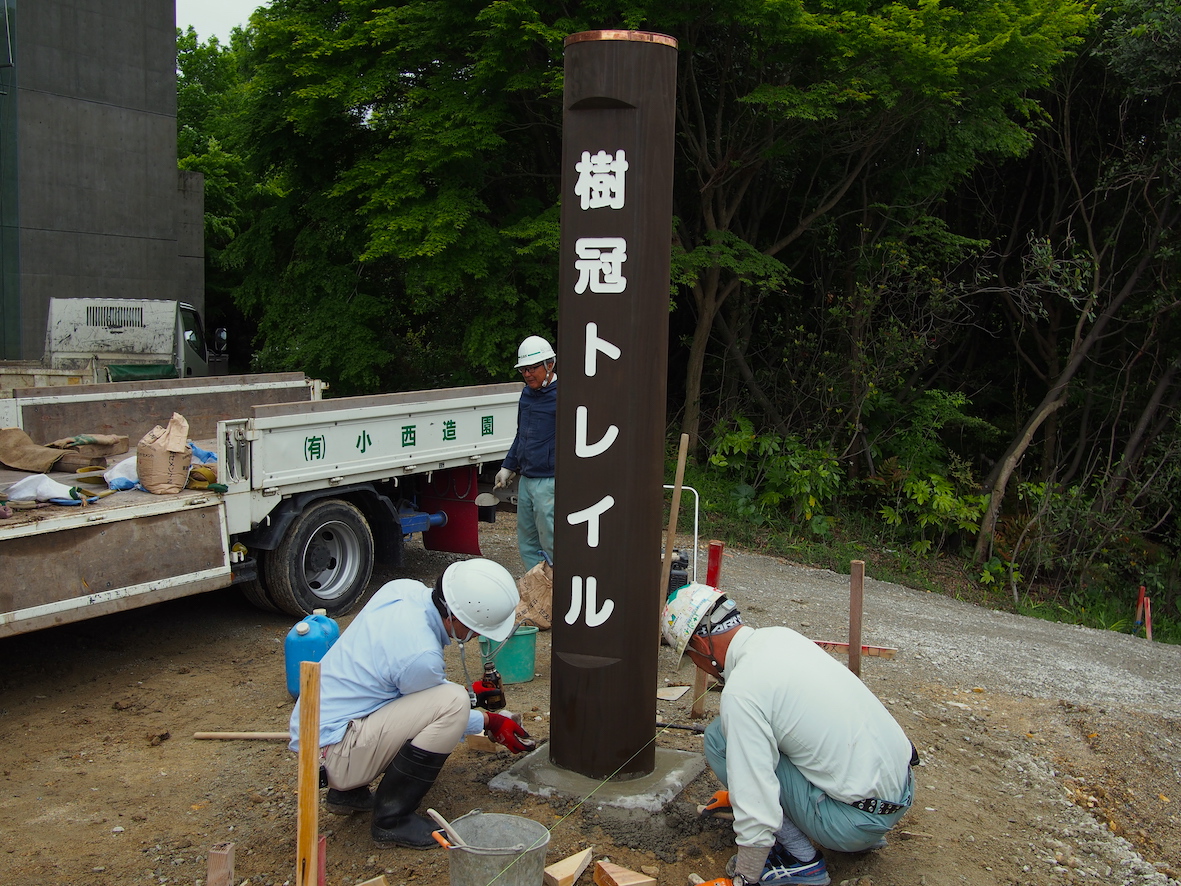 樹冠トレイル工事日誌　27