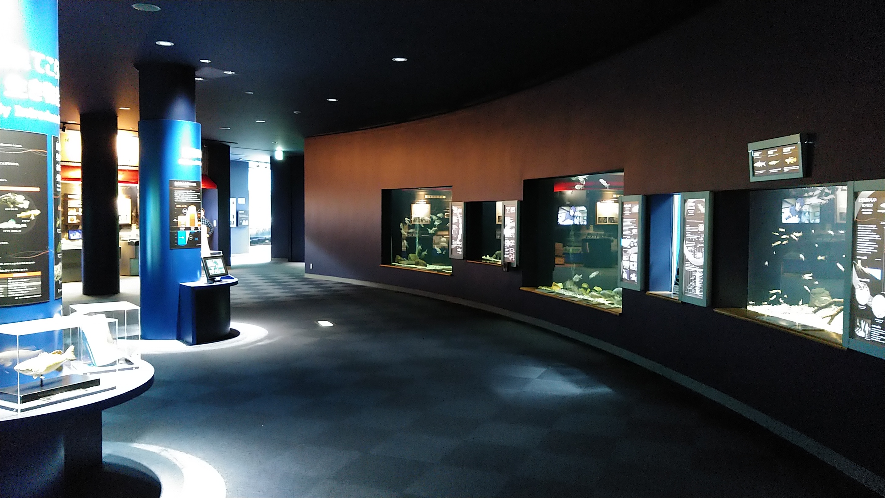 水族展示室