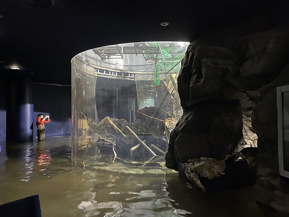 滋賀県立琵琶湖博物館水槽破損事故原因調査報告書について
