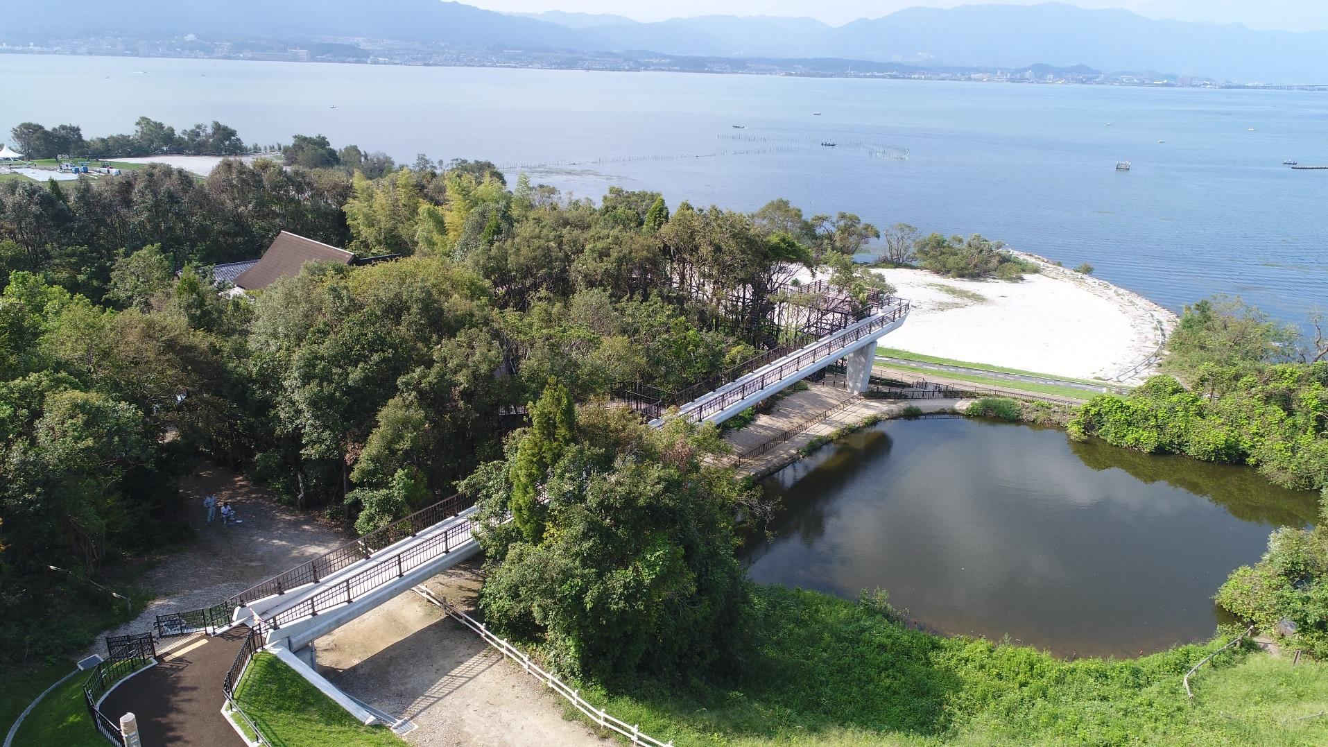 琵琶湖博物館『樹冠トレイル』が11月3日(祝）オープン！