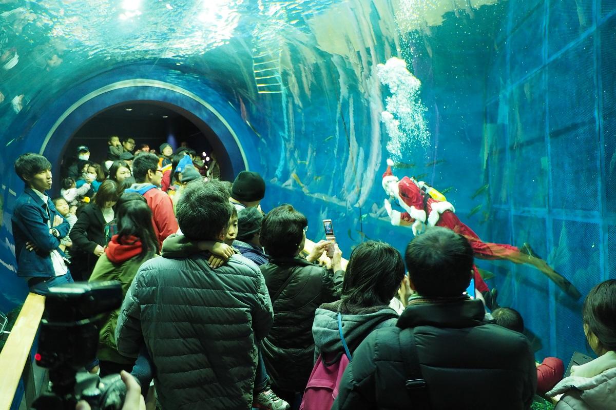 今年も水族展示のトンネル水槽にサンタクロースがやってきます！